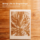 XTool｜M1 Hybrid Laser And Blade Cutting Machine